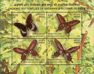 Endemic Butterflies of Andaman & Nocobar Islands