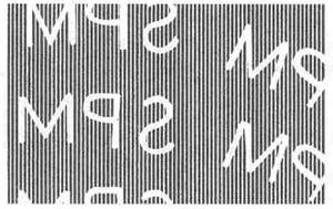 Traditional Wedding Costumes - Bajau