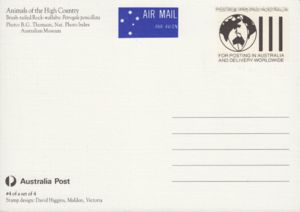 Brush-tailed Rock-wallaby (Petrogale penicillata)