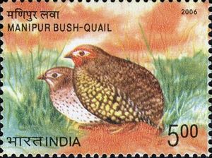 Stamp Manipur BushQuail (Perdicula manipurensis) (India(Endangered
