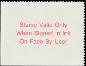 Northern pintail (Anas acuta)