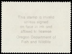 Greater white-fronted goose (Anser albifrons)