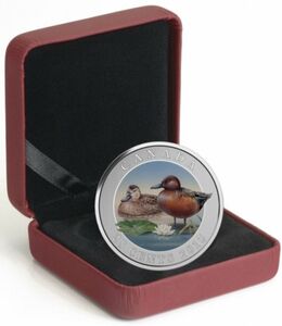 25 Cents (Cinnamon Teal)