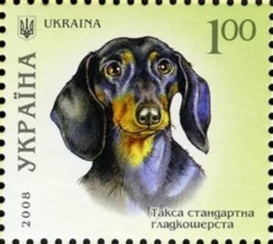 Stamp Short Haired Dachshund Canis Lupus Familiaris Ukraine