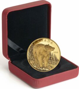 350 Dollars (The Bold Black Bear)