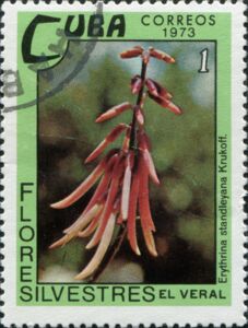 Куба: Erythrina standleyana, 1973 : US$ 0,12 от REMOTOM : Stamps Marketplace : Марки для продажи : Colnect