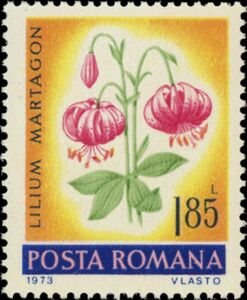 Stamp Common Turk S Cap Lily Lilium Martagon Romania Nature Conservation 1973 Mi Ro 3104 Sn Ro 2403 Yt Ro 2739 Sg Ro 3983 Afa Ro 3069 Rom Ro 818b Hgames yt fans free fire. colnect