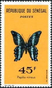 Green-banded Swallowtail (Papilio nireus)