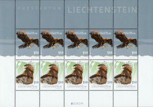 Golden Eagle (Aquila chrysaetos)