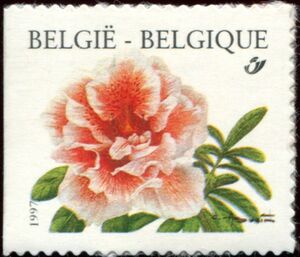 Rhododendron Simsii Self-adhesive Left Imperforate