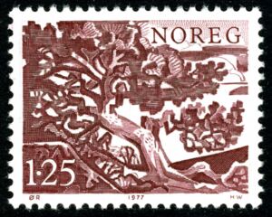 Pine (Pinus sylvestris)