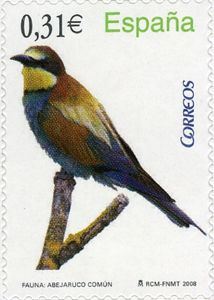 European Bee-eater (Merops apiaster)