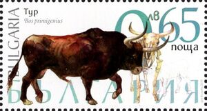 Aurochs (Bos primigenius)