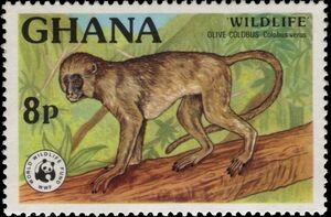 Stamp: Olive Colobus (Colobus verus) (Ghana(WWF Wildlife) Mi:GH 702A,Sn ...