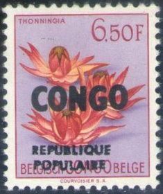Thonningia - Overprinted CONGO - Overprinted