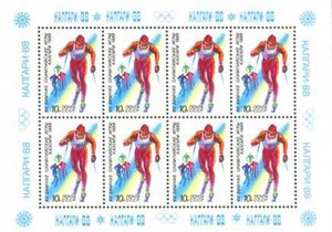 Cross-country Skiing