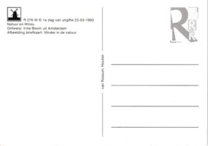 Large White (Pieris brassicae)