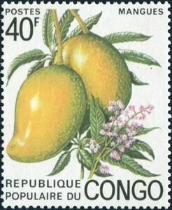 Stamp: Mango (Mangifera indica) (Congo, Republic (Brazzaville