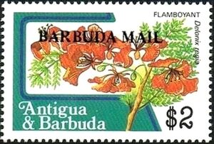 Flamboyant Tree (Delonix regia) - Overprinted