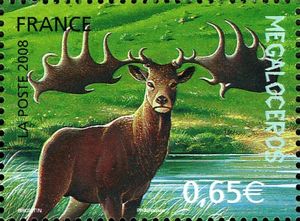 Irish Elk (Megaloceros giganteus)