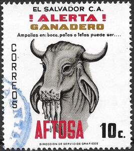 Hoof and Mouth Diseases