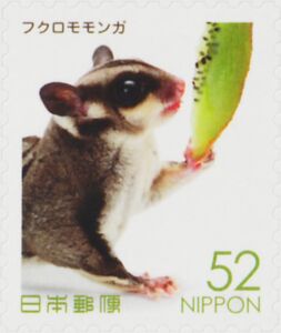 japanese sugar glider