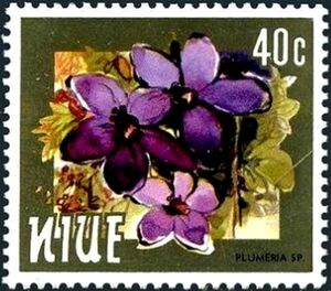 Frangipani (Plumeria sp.)