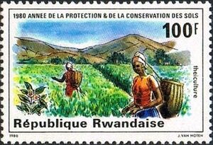 Soil Conservation Year