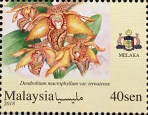 Orchids of Malaysia