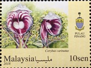 Orchids of Malaysia