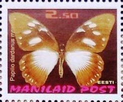 Papilio dardanus meseres