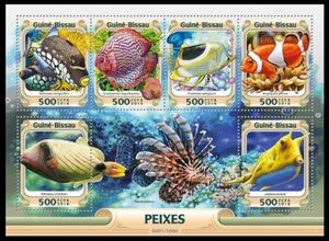 Fish of the Coral Reef