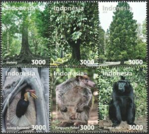 Flora-and-Fauna-of-Indonesia.jpg