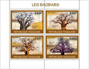 Baobabs