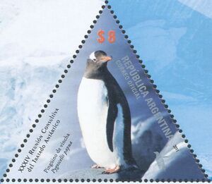 Gentoo Penguin (Pygoscelis papua)