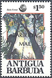 Rain Forest - Overprinted