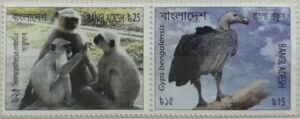 White-rumped Vulture, Northern Plains Grey Langur