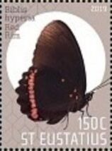 Red Rim (Biblis hyperia)