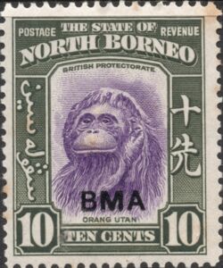 Bornean Orangutan (Pongo pygmaeus) - overprinted