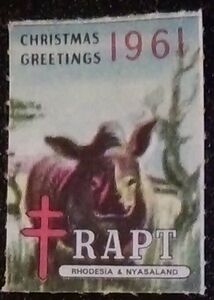 RAPT Christmas Greetings Rhino