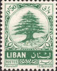 Lebanon Cedar (Cedrus libani)