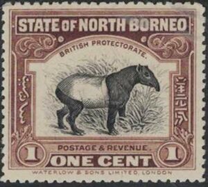 Malayan Tapir (Acrocodia indicus)