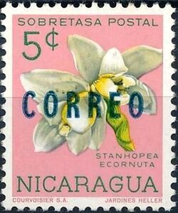 Stanhopea ecornuta overprinted