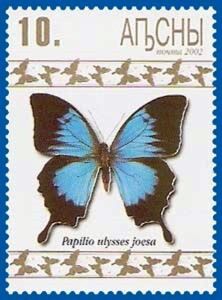 Papilio ulysses joesa