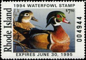 Wood duck (Aix sponsa)