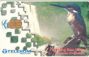 Kadtelefon Burung Raja Udang Telekom Malaysia Malaysia Birds