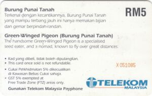 Kadtelefon Burung Punai Tanah Telekom Malaysia Malaysia Birds
