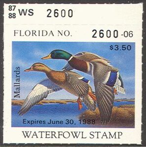 Mallard (Anas platyrhynchos)