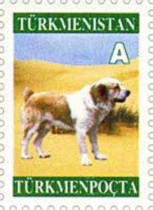 Dog (Canis lupus familiaris)