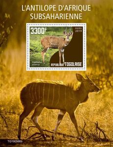 Antelope of Sub-Saharan Africa